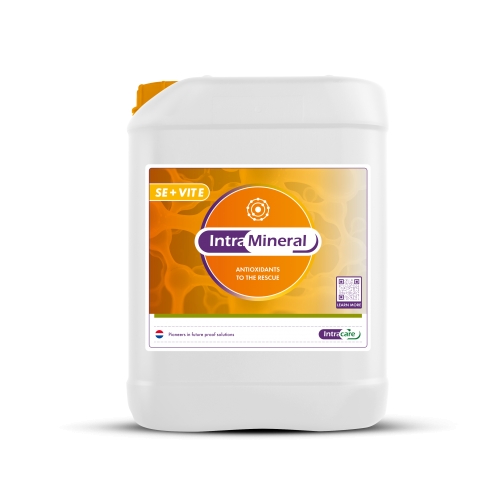 Intra Mineral SE + Vitamine E